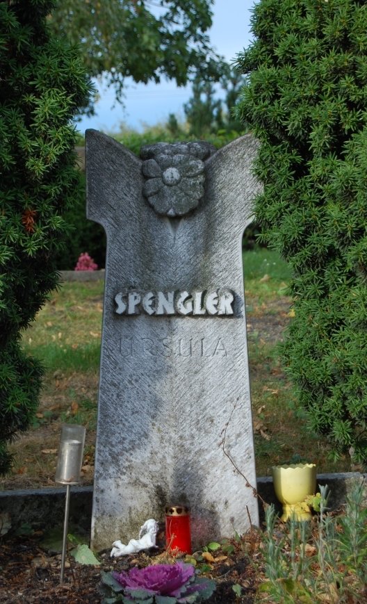 Beispiel-Bild