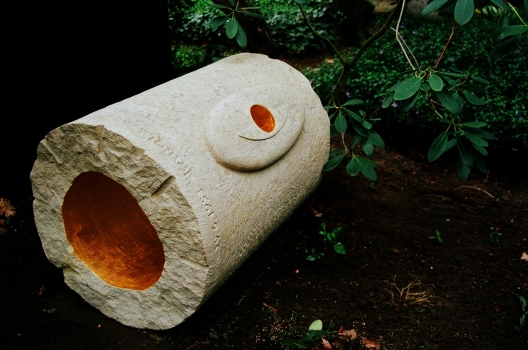 Beispiel-Bild
